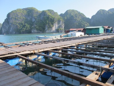 perles-halong1