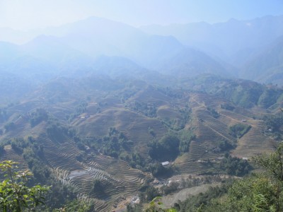 sapa1