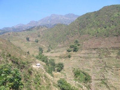 sapa4