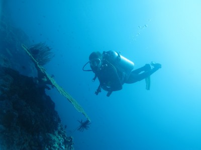 thibaut-dive-palawan