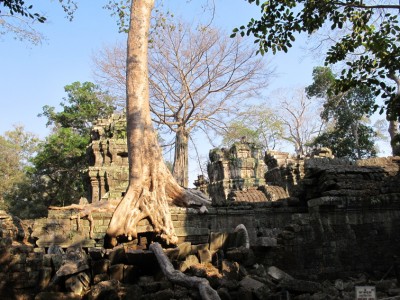 angkor13