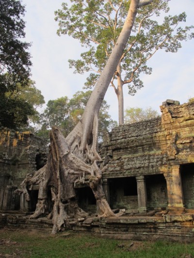 angkor21