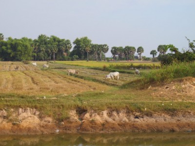 riviere-cambodge3