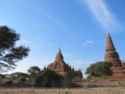 bagan5