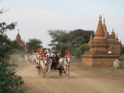 bagan8