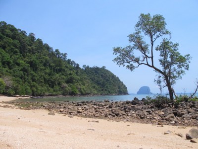 koh-ngai5