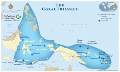 triangle-corail