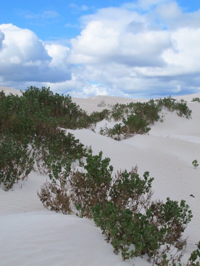 dune-lancelin2