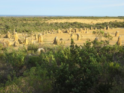 pinnacles-lancelin-national-park4