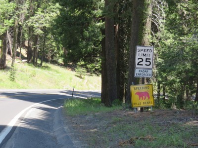 panneau-ours-yosemite