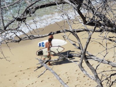 surfeurs-hawaii