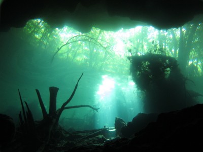 dive-cenote11