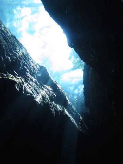 dive-cenote2