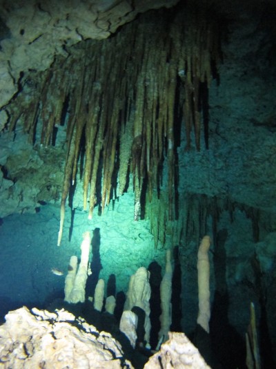 dive-cenote5