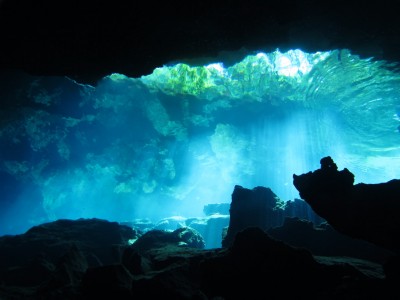 dive-cenote8