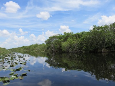 everglades1