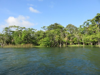 rio-dulce