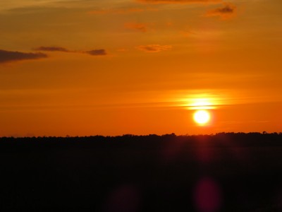 sunset-everglades