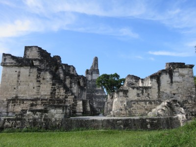 tikal11