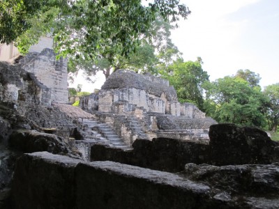 tikal3