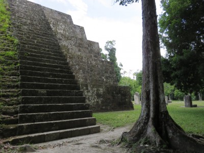 tikal5