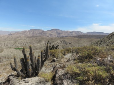 canon-colca5