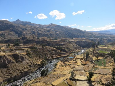 canon-colca6