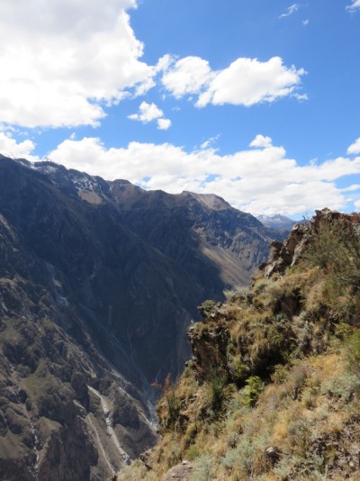 canon-colca9