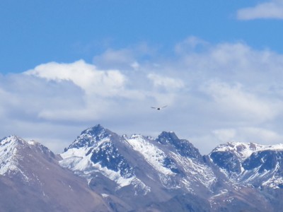 condor-canon-colca2