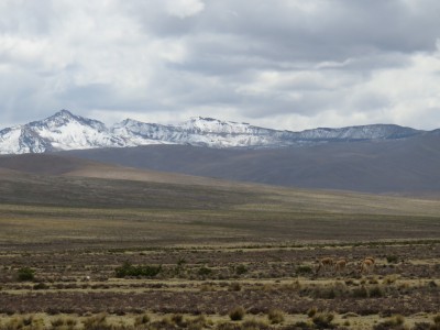 salinas-blancas1