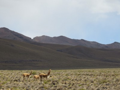 salinas-blancas3