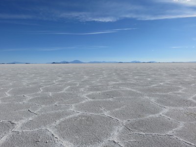 salar4